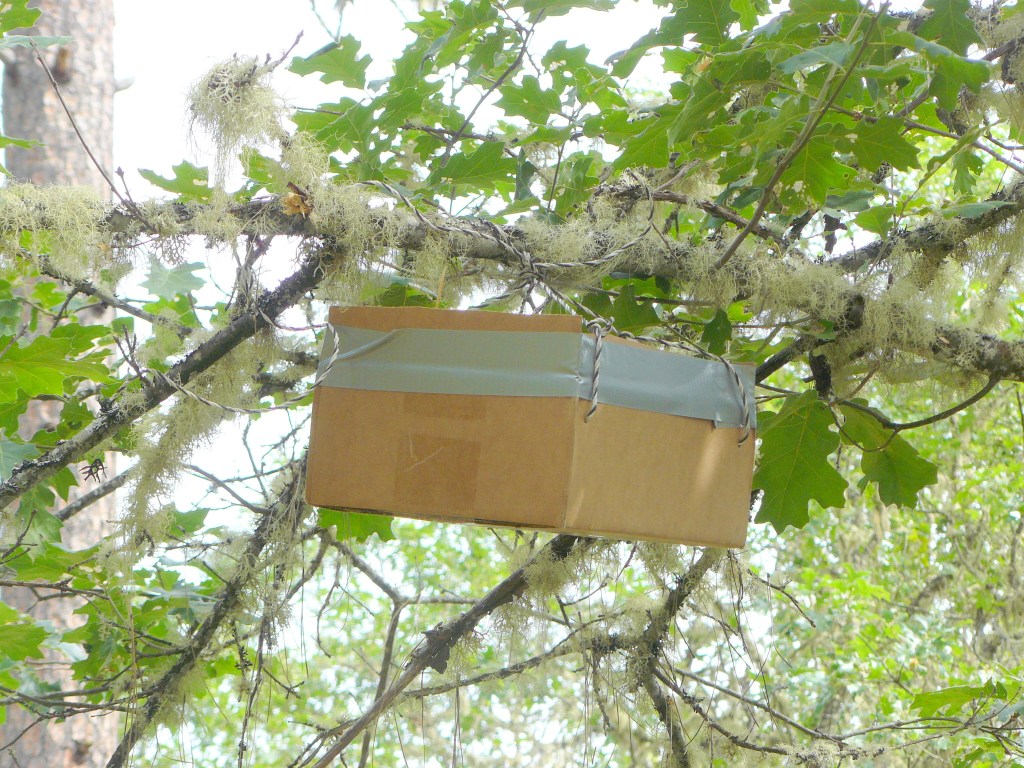 Good luck, my little things.