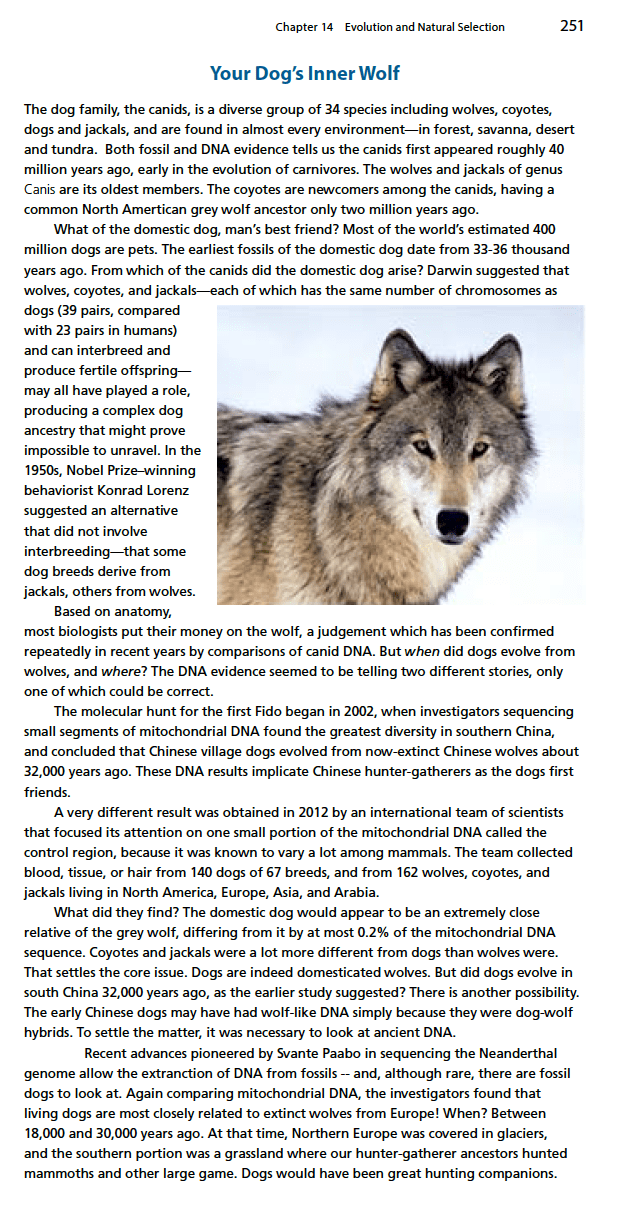 Screen Shot 2014-07-14 at 9.49.36 AM