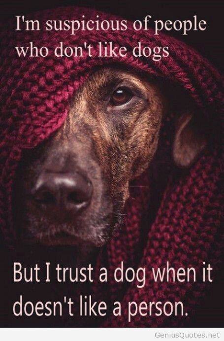 suspicious of people