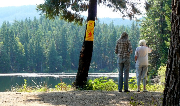 Checking out the best way in!