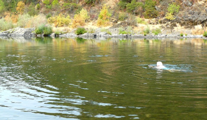 Just keeping abreast of the current.