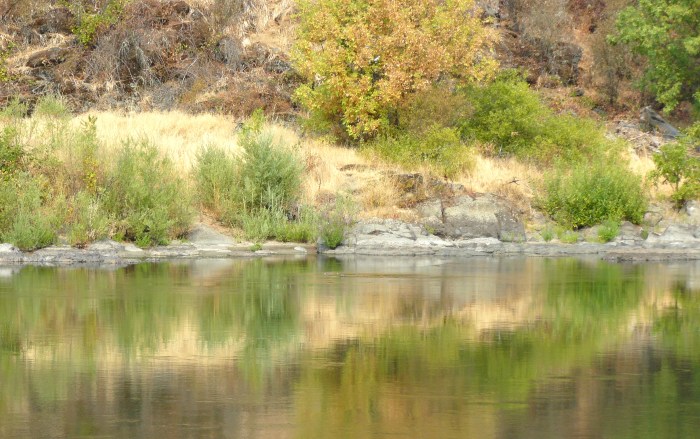The Rogue River at Matson Country Park.