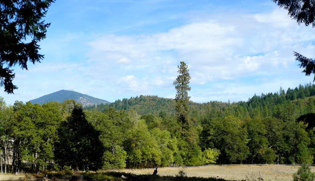 Space for Nature - all around us!