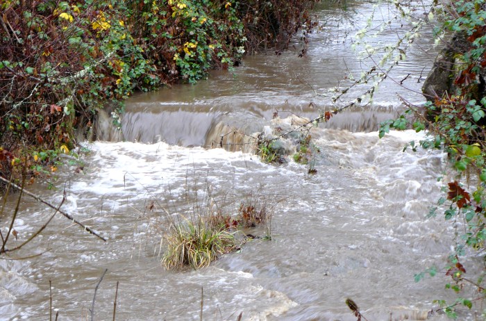 This the raised water flowing over the irrigation dam on Bummer Creek, that flows North-South through the woods on the Eastern part of our land.