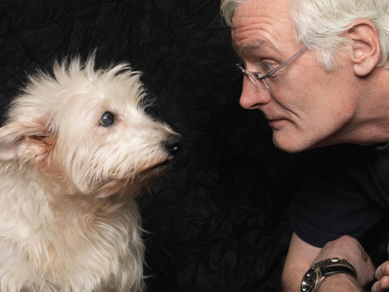 Our furry friends might be able to infer our mood based on our facial expressions - just like human buddies do. (Photo: JLPH/cultura/Corbis