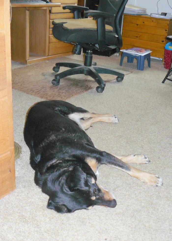 Picture taken at 10:35 yesterday morning in my 'home office' when I had finished writing today's post.