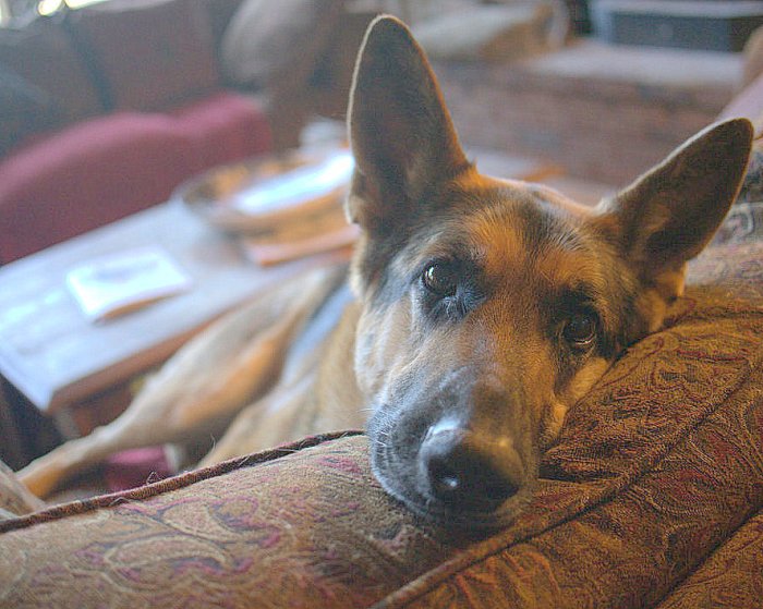 Very sultry picture of Cleo.