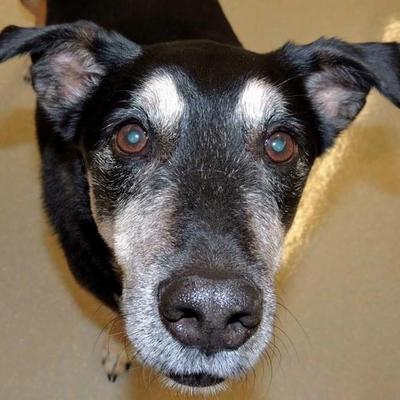 Image via The Endocrine Society.