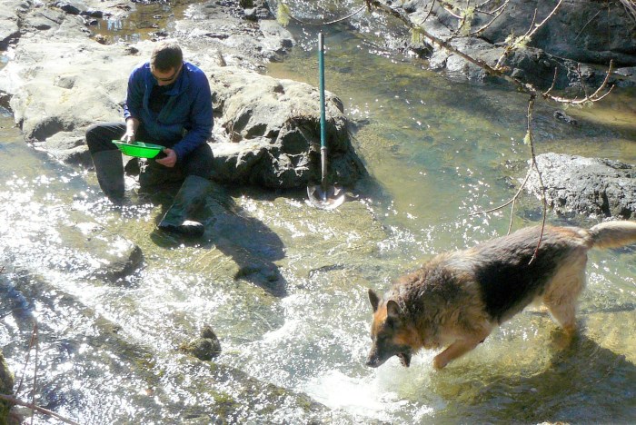 Pharaoh, instinctively, thought that a dog's nose would raise the odds of a find.