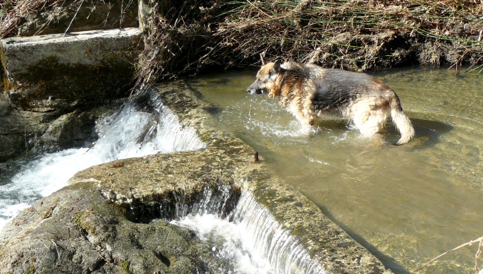 OK! Oliver's got involved. I'll just stand here and watch the goings-on!