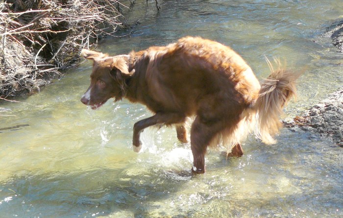 Gold! Did someone mention GOLD!