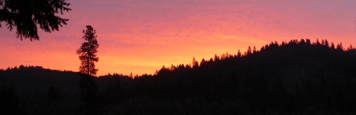 A golden dawn as seen from our bedroom window at home - taken Friday 13th, March, 2015.