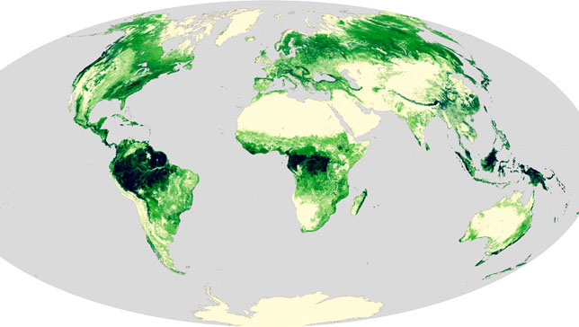 Forest canopy heights are highest near the equator and generally decrease the closer forests are to the poles. (Photo: NASA)