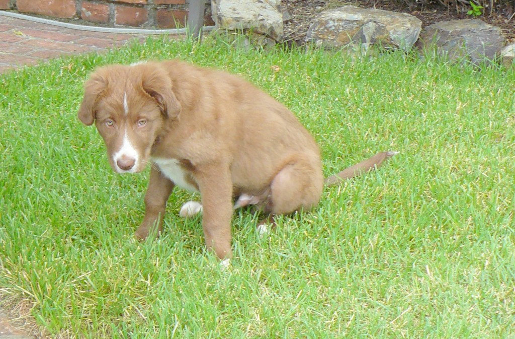 First viewing of young Oliver.