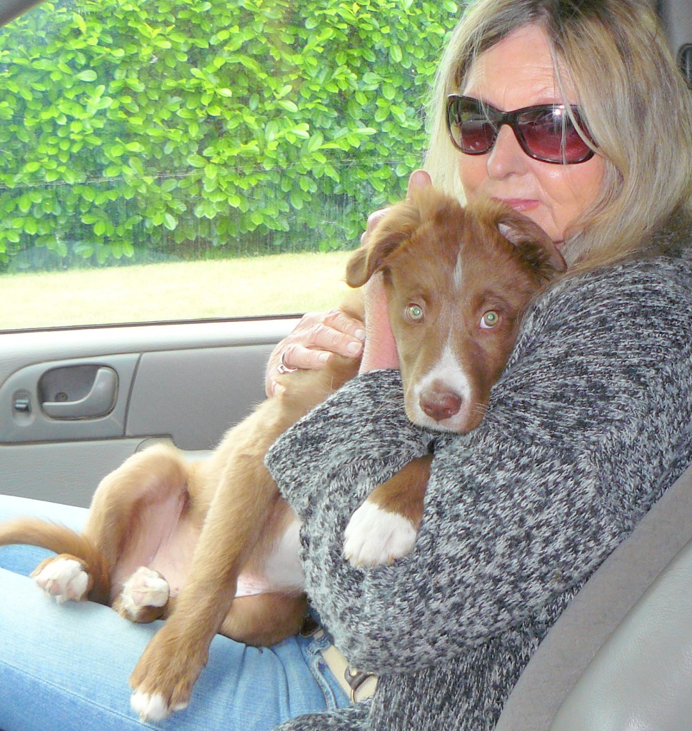 No avoiding those eyes (and I'm not referring to Jean!).