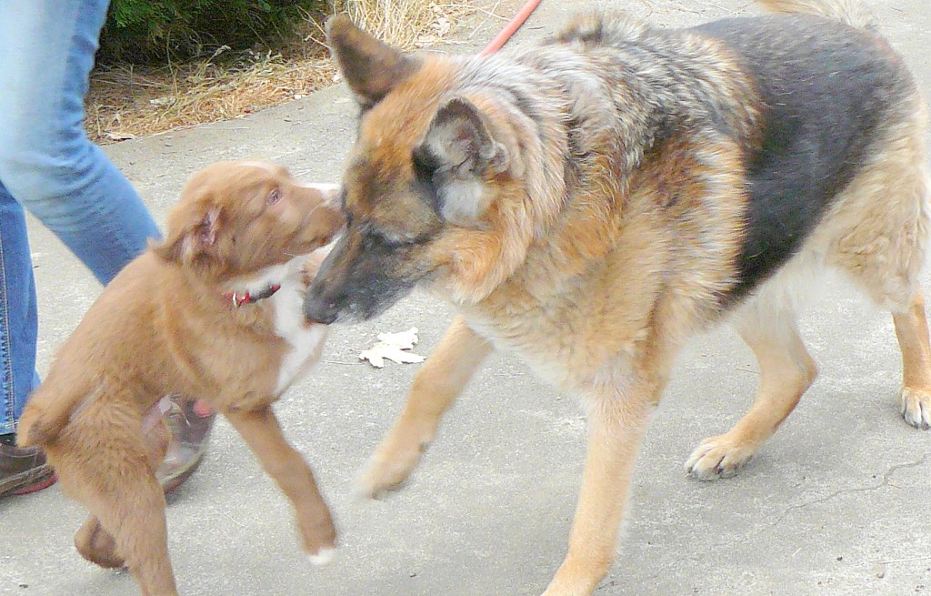 Win over the bossman and the rest is easy.