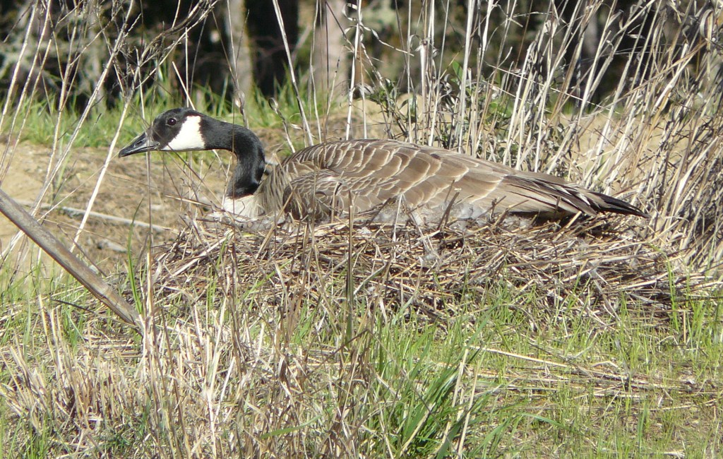 Still sitting at 7am.