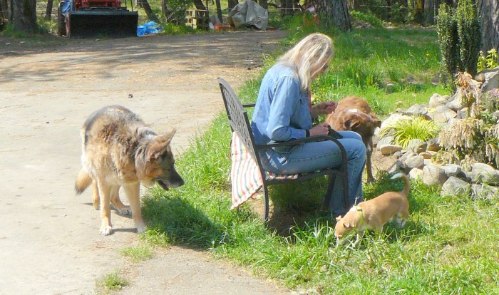 This looks like fun!