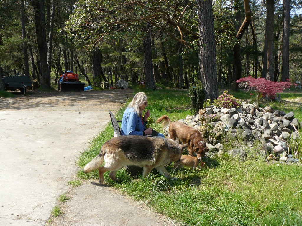 Pedy, want to go for a walk?