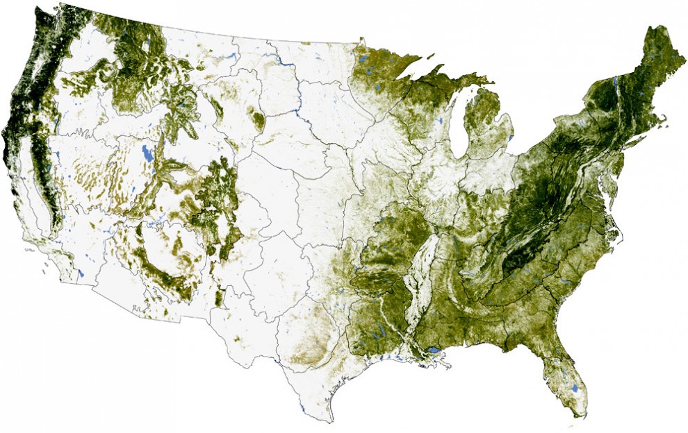 The concentration of biomass stored in trees in the U.S. The darkest greens reveal the areas with the densest, tallest, and most robust forest growth. (Photo: NASA)