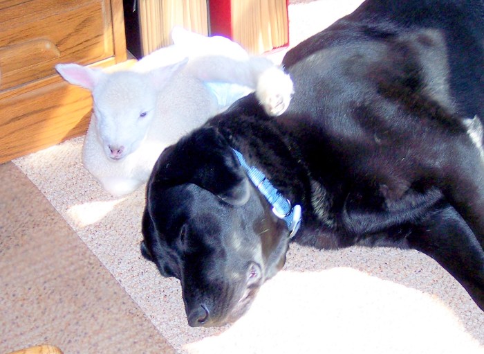 Clyde and Pearl demonstrating such a dear friendship.