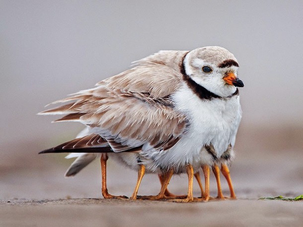 Image credits: Michael Milicia