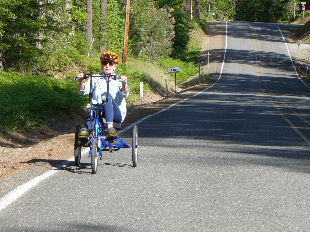 Jean coming up the road towards the driveway entrance!