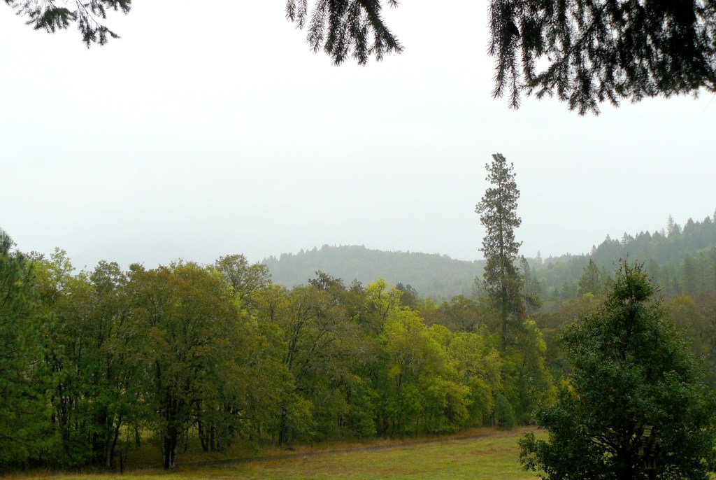 Same view but this time on a foggy Autumn day in 2013.