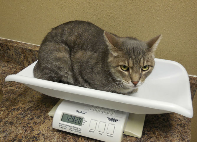 Loud and clear.  William Heron, CC BY-SA