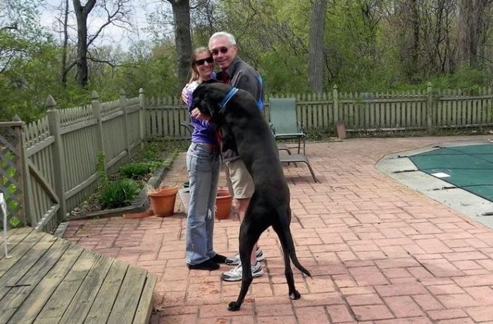 If there's a hug going on, Cooper wants to be a part of it. (Photo: Ali Berman)