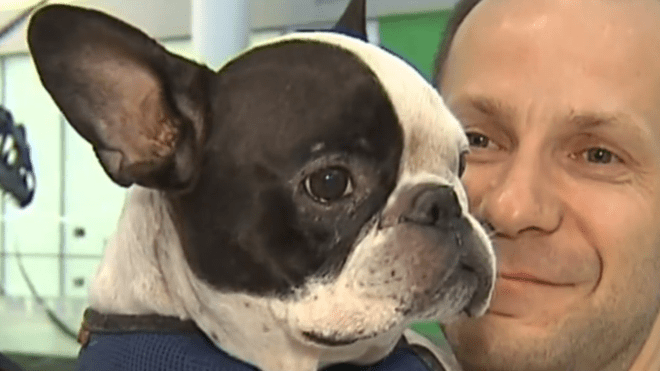 Picture copyright CityNews, Toronto.