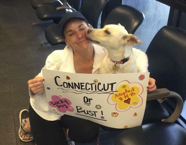 Anniston is on her way to her new home, thanks to a brilliant campaign to match high-energy dogs with high-energy humans. (Photo: Ruffwear)