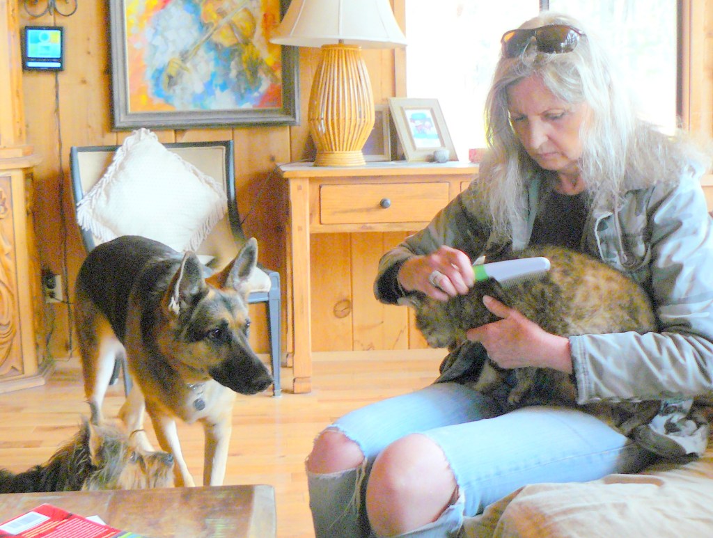 Wow! What's this that Mummy is holding?