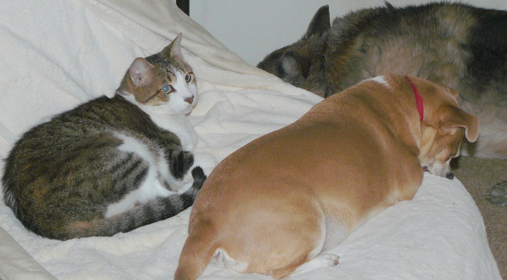 Hedy just as happy with ???