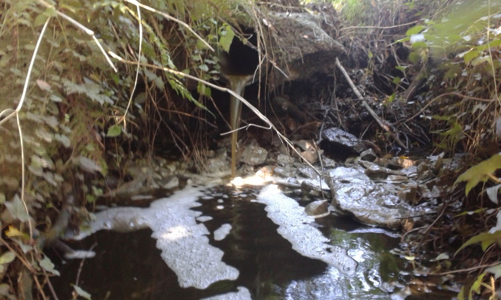 Slurry outfall just above the river.