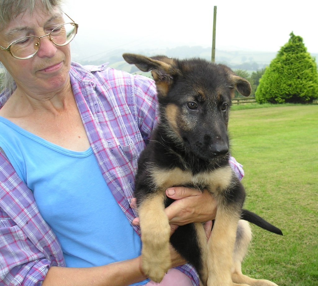Puppy Pharaoh in the arms of Sandra Tucker of Jutone Breeders in Devon, UK. September, 2003.
