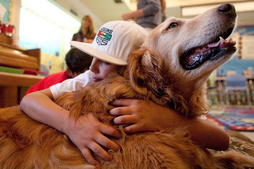 Animal-assisted therapy helps kids with autism and other developmental disabilities learn social skills. (Photo: UCI UC Irvine/flickr)