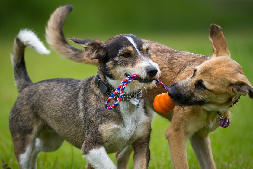 Sharing is caring! (Photo: Bildagentur Zoonar GmbH/Shutterstock)