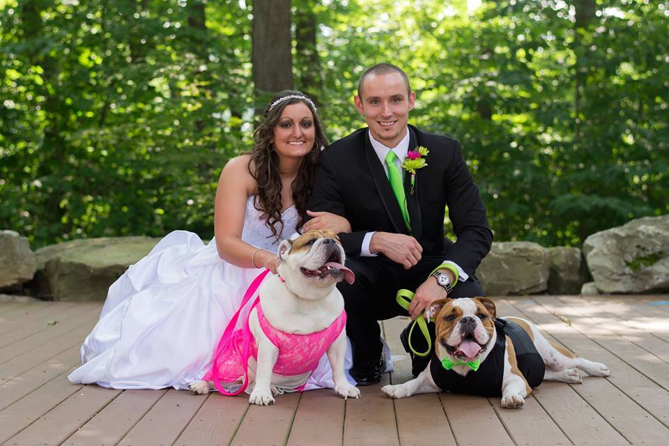 wedding dogs6