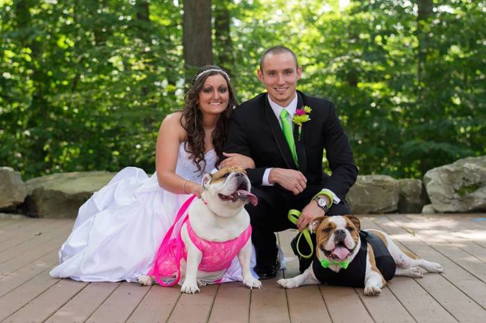 wedding dogs6