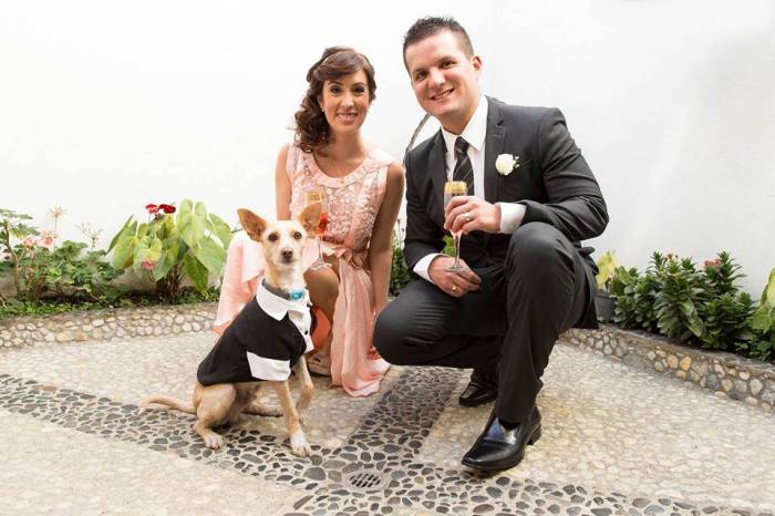 weddingdogs5