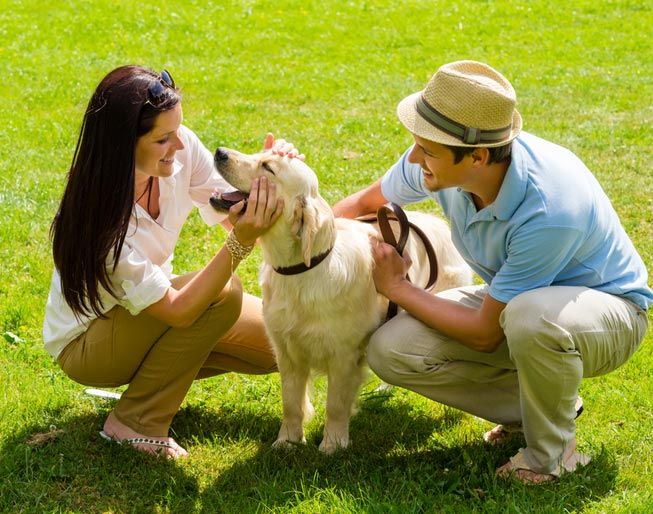 A dog can make you appear friendlier and more approachable to others. (Photo: CandyBox Images/Shutterstock)