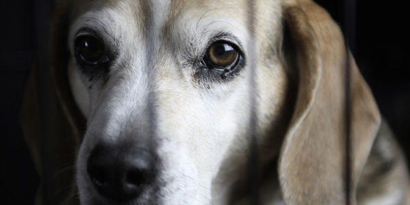 471427-1438026925-wide