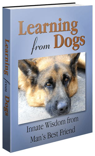 LearningFromDogs_3DBook_500x