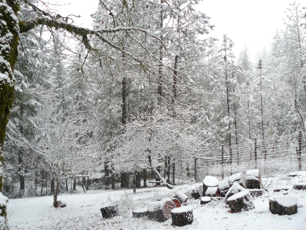 Looking like an inch of snow; perhaps a little more.