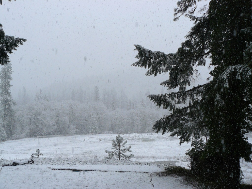 Looking out to the East around 9am yesterday.