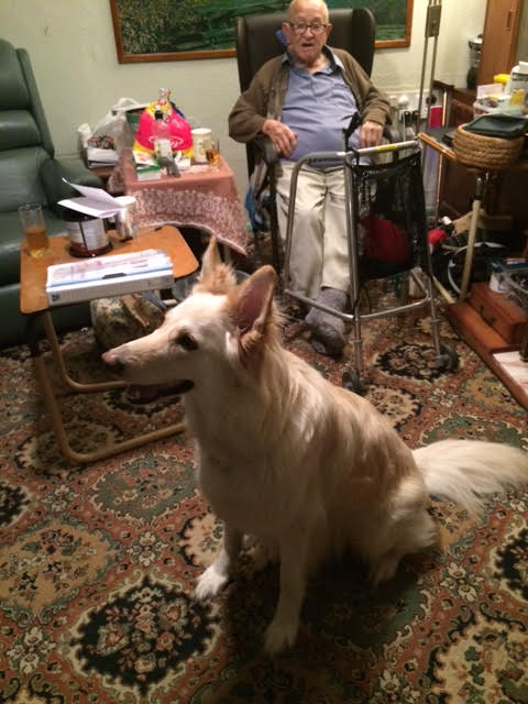 The love and companionship offered by Sasha.