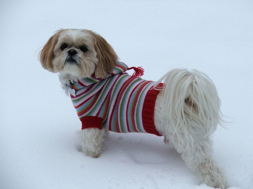 snow13