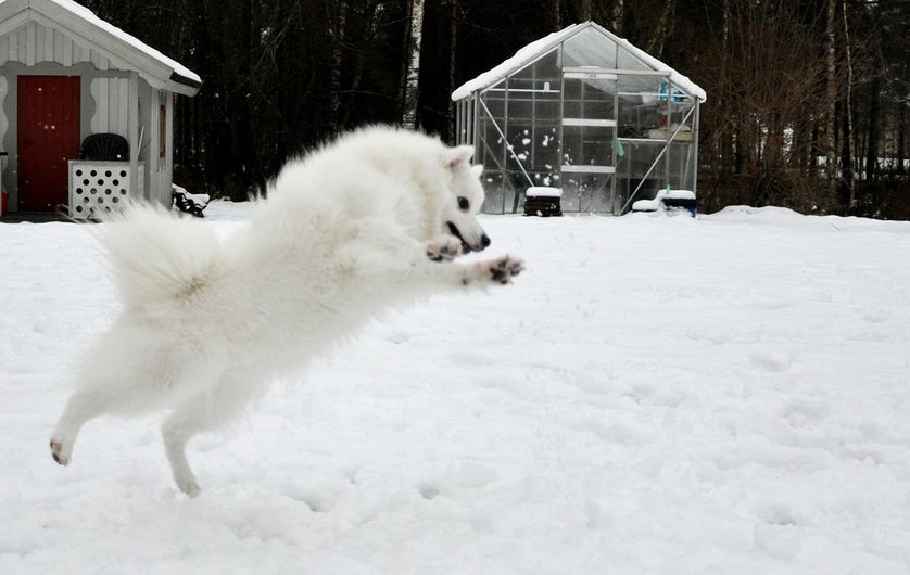 Photo: Hanna Gustafsson/flickr