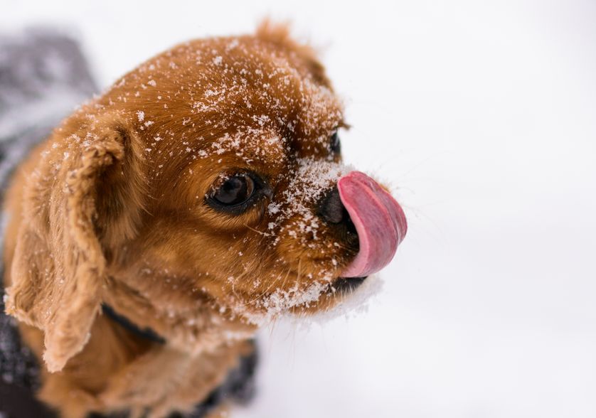 Photo: Andrew E. Russell/flickr